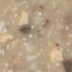 Grandex A-411 Precious Stone